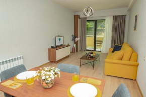 Comfortable 1-bedroom serviced apartment near new cable car